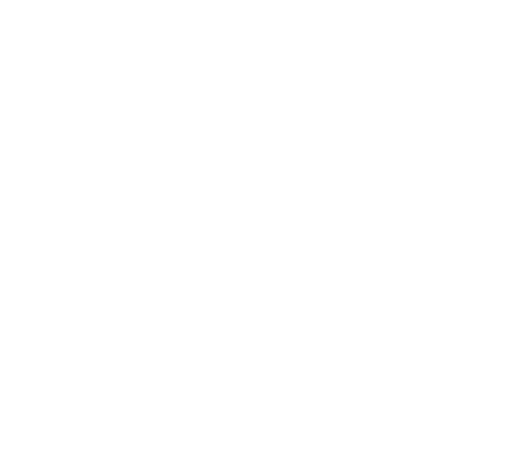 Dark Stork