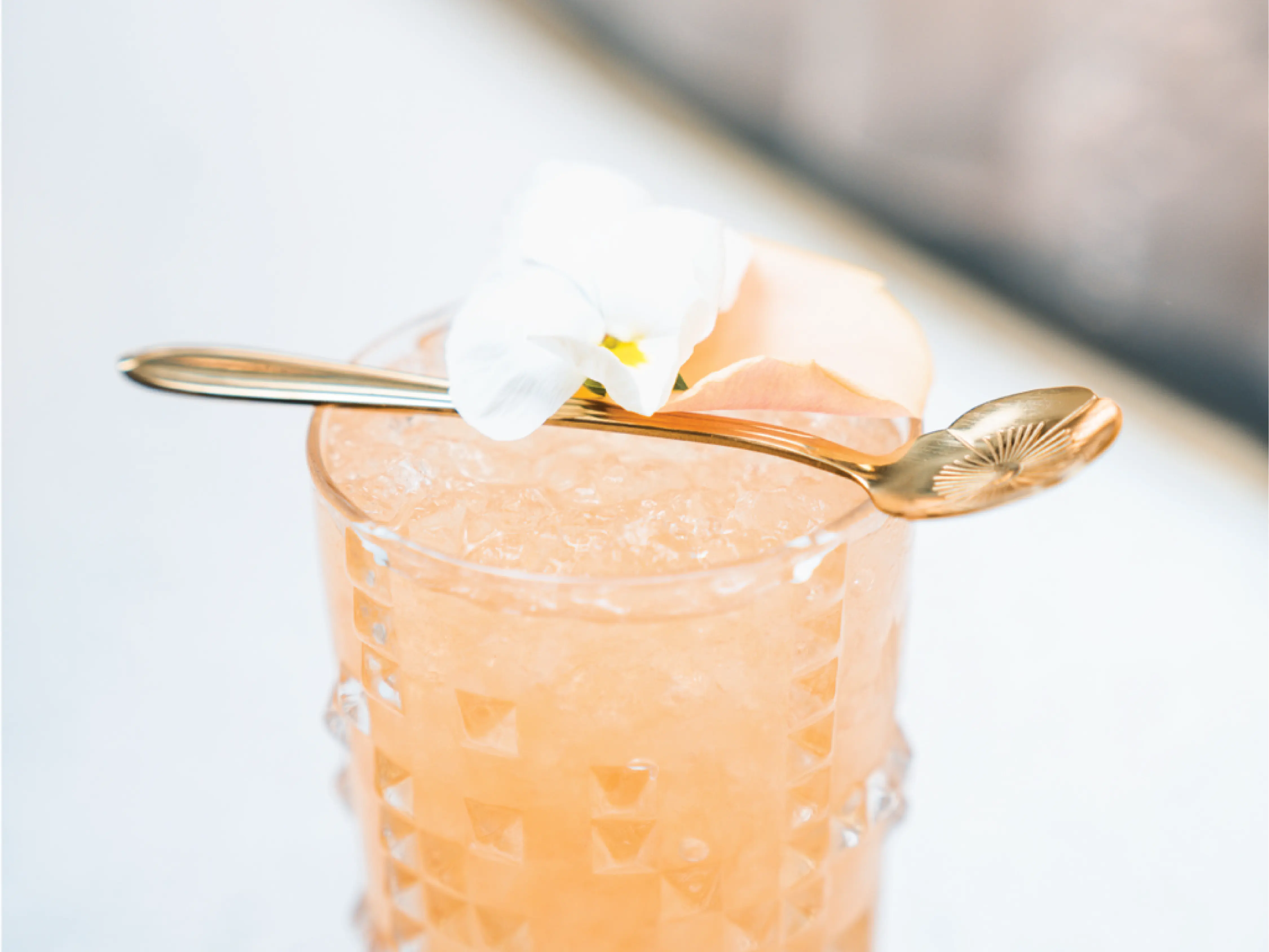 Cocktail floral Dark Stork